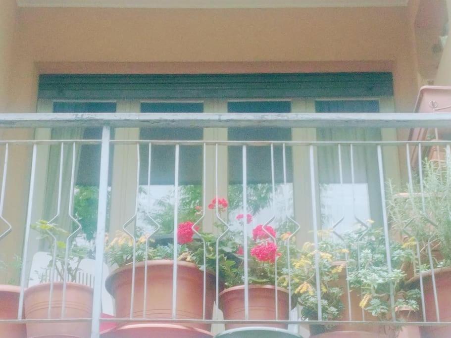 Ampi Spazi, A Piedi In Centro. Apartment Treviso Exterior photo